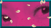 https://www.toii.io/urban-legend-hunters-2